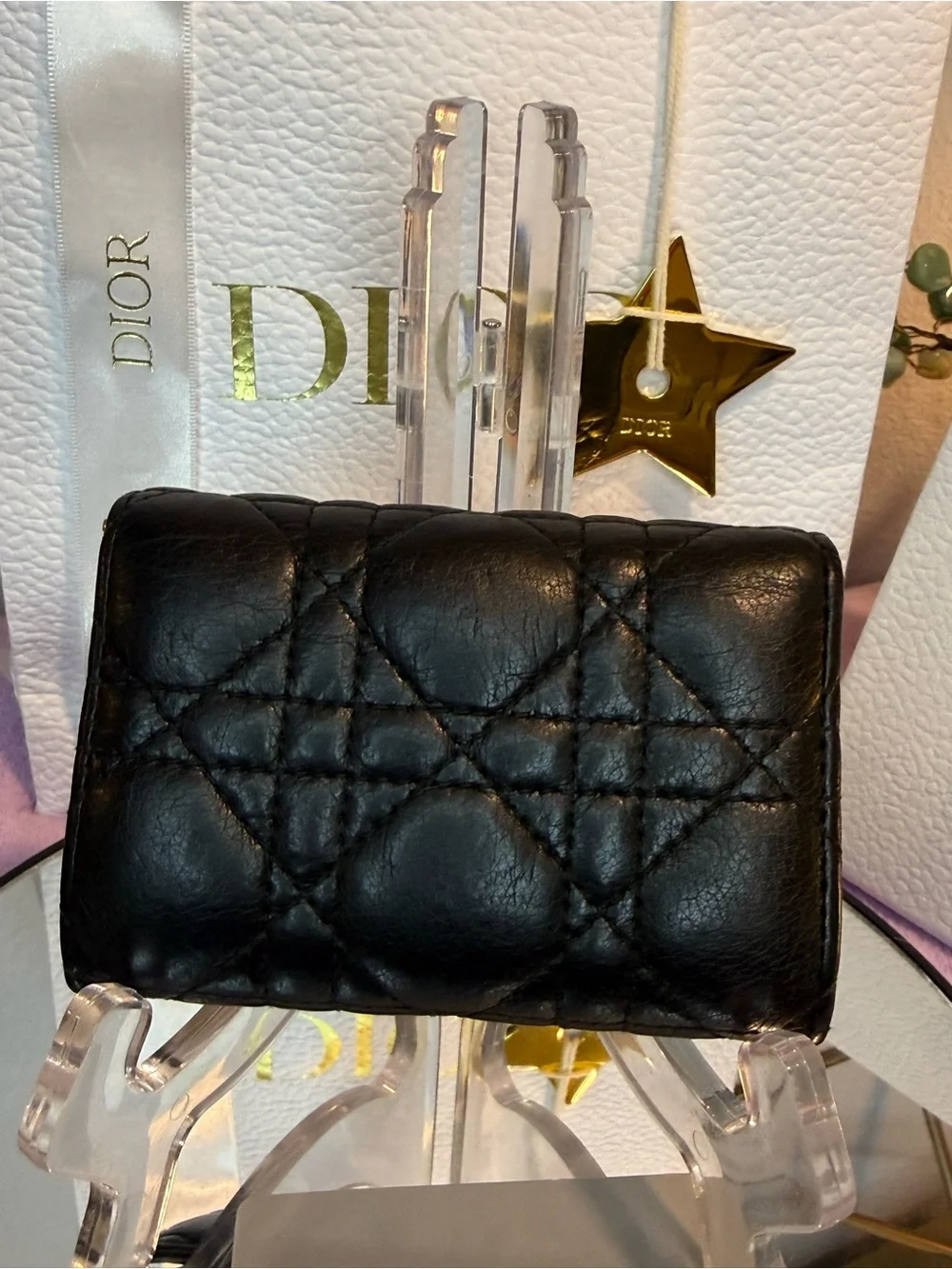 Dior authentic christian